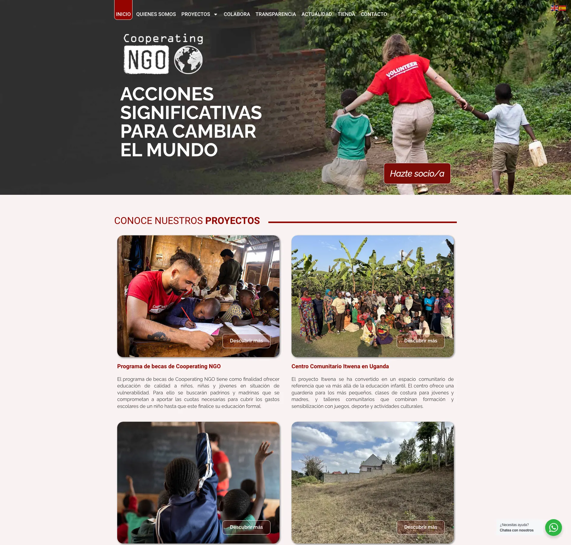 Vista de Cooperating NGO